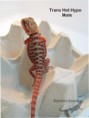 /album/thor-x-chloe/trans-het-hypo-male-n%c2%ba1-jpg/